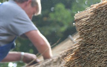 professional Maesyrhandir thatchers